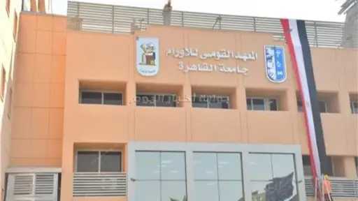 جامعات