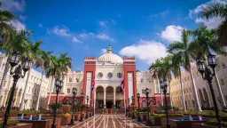 جامعات