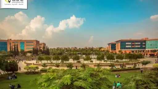 جامعات