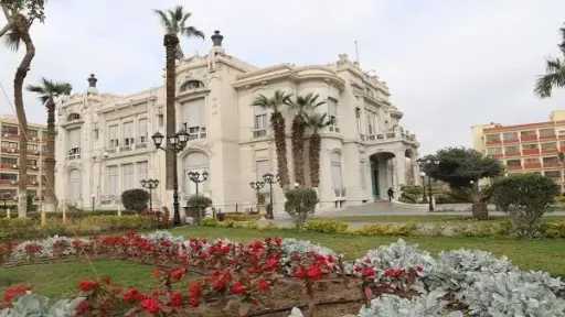 جامعات