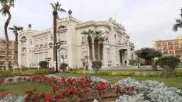 جامعات