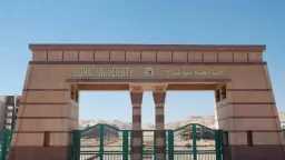 جامعات