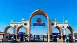 جامعات