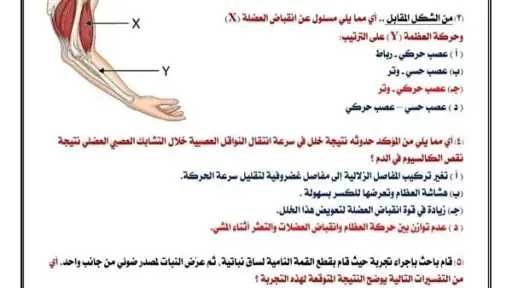 مدارس