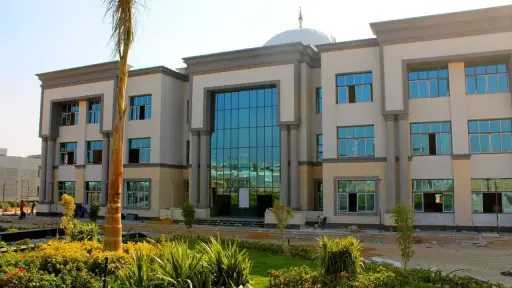 جامعات