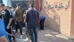 أخبار