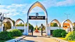 جامعات