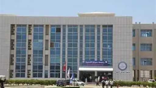جامعات