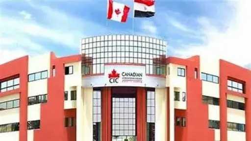 جامعات