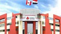 جامعات