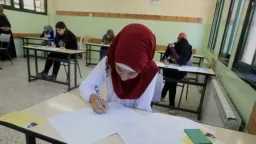 أخبار