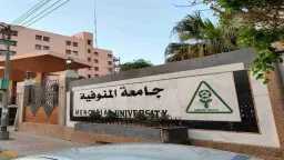 جامعات
