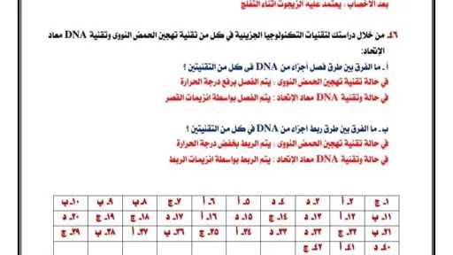 أخبار