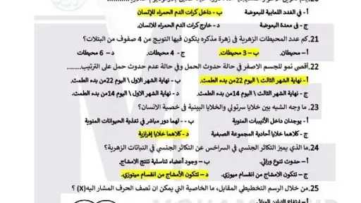 أخبار
