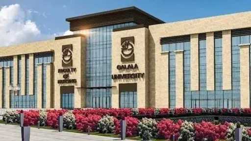 جامعات