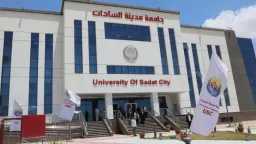 جامعات