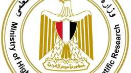 أخبار