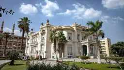 جامعات