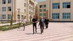 جامعات