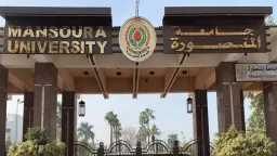 جامعات