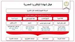 أخبار