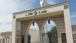جامعات