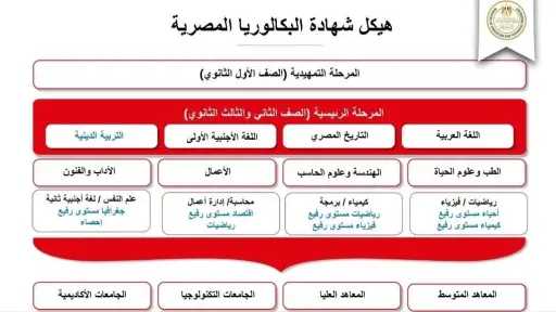 أخبار