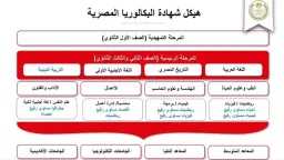 أخبار