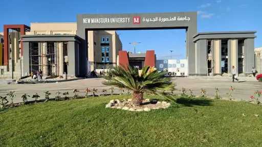 جامعات