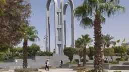 جامعات