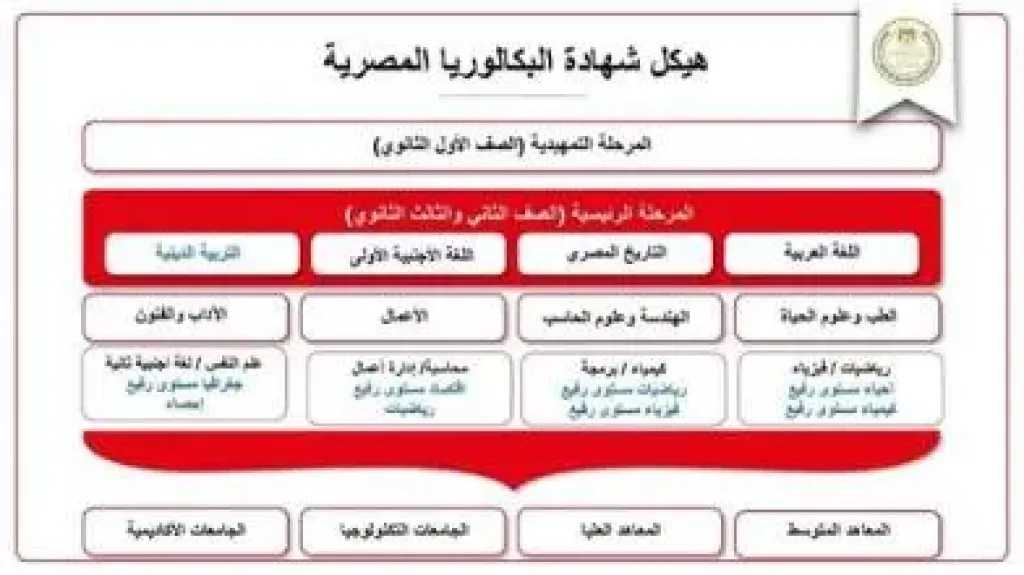 أخبار