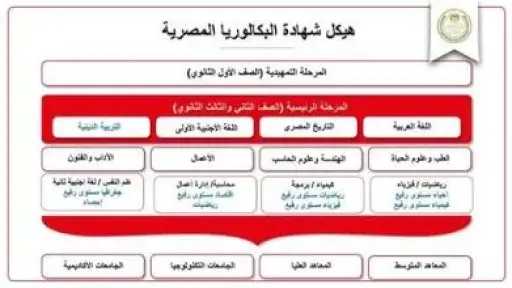 أخبار