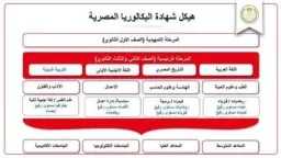 أخبار