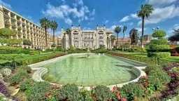 جامعات