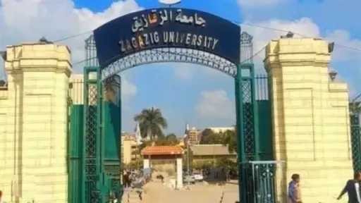 جامعات