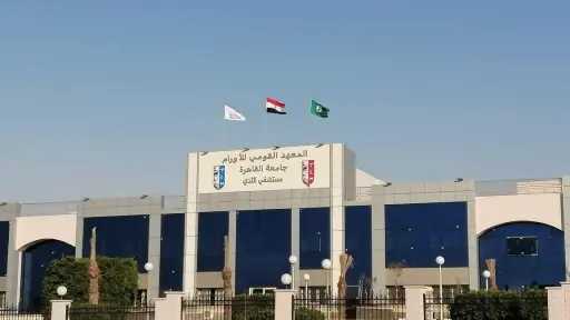 جامعات