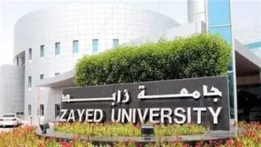 جامعات