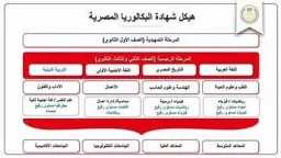 أخبار