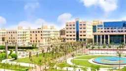 جامعات