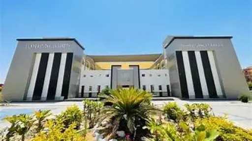 جامعات
