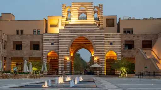 جامعات