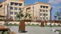 جامعات
