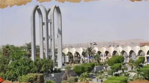 جامعات