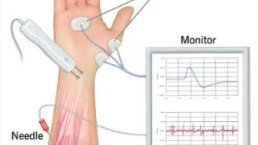 جامعات