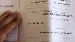 أخبار