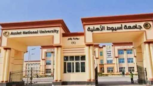 جامعات