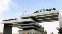 جامعات