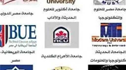 أخبار