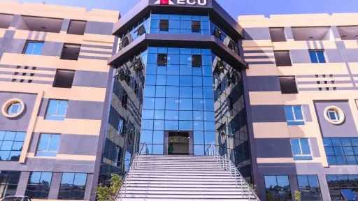 جامعات