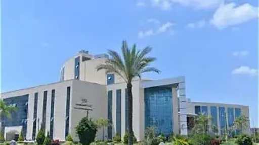جامعات